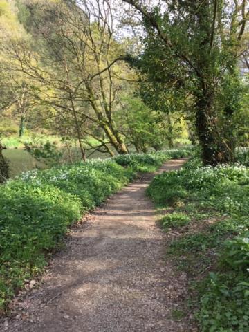 Riverside Stay Gunnislake 외부 사진