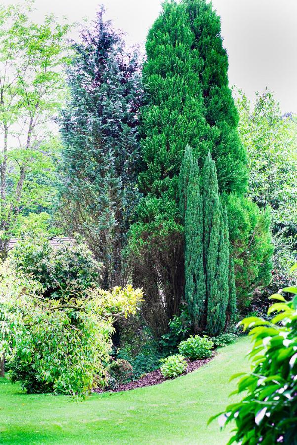 Riverside Stay Gunnislake 외부 사진